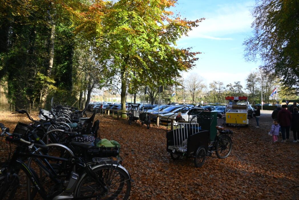 Het leek wel zomer in het Panbos
